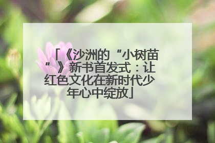 《沙洲的“小树苗”》新书首发式：让红色文化在新时代少年心中绽放
