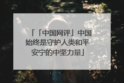 「中国网评」中国始终是守护人类和平安宁的中坚力量