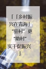 「乡村振兴在青海」“驻村”更“助村” 实干促振兴