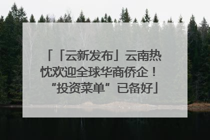 「云新发布」云南热忱欢迎全球华商侨企！“投资菜单”已备好