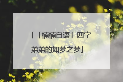 「楠楠自语」四字弟弟的如梦之梦