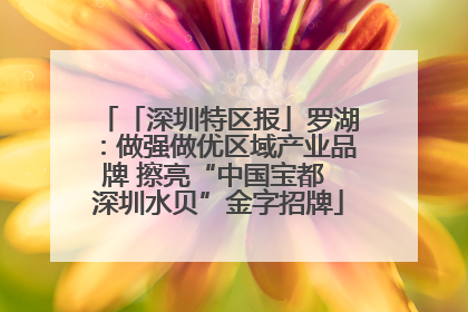 「深圳特区报」罗湖：做强做优区域产业品牌 擦亮“中国宝都 深圳水贝”金字招牌