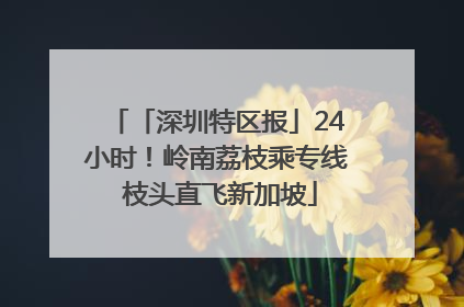 「深圳特区报」24小时！岭南荔枝乘专线 枝头直飞新加坡