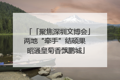 「聚焦深圳文博会」两地“牵手”结硕果 昭通皇菊香飘鹏城