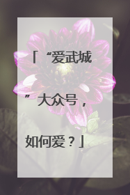 “爱武城”大众号，如何爱？