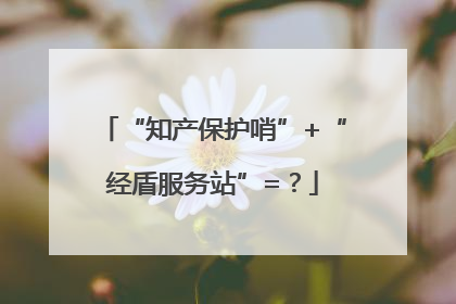 “知产保护哨”+“经盾服务站”=？