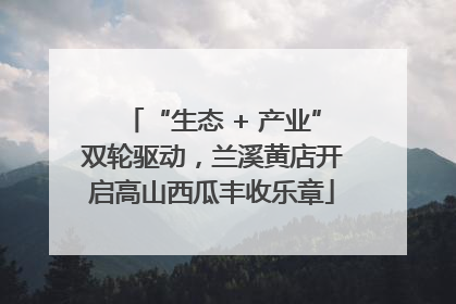 “生态 + 产业”双轮驱动，兰溪黄店开启高山西瓜丰收乐章