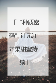 “种质密码”让元江芒果甜蜜持续