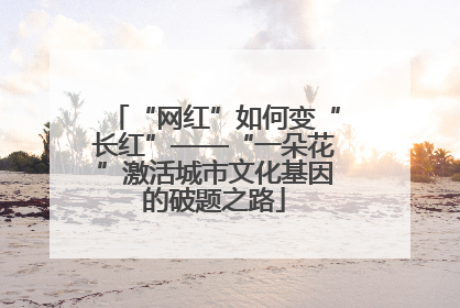 “网红”如何变“长红”——“一朵花”激活城市文化基因的破题之路