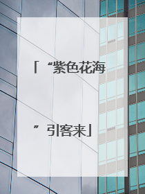 “紫色花海”引客来