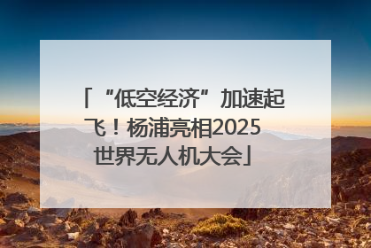 “低空经济”加速起飞！杨浦亮相2025世界无人机大会