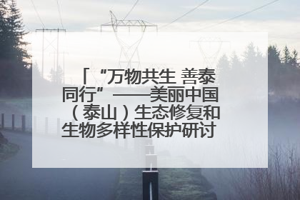 “万物共生 善泰同行”——美丽中国（泰山）生态修复和生物多样性保护研讨会成功举办