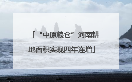 “中原粮仓”河南耕地面积实现四年连增