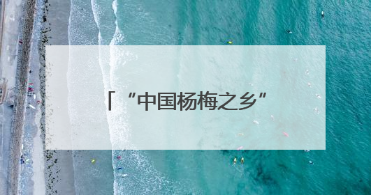 “中国杨梅之乡”湖南靖州传统与新引品种共绽“梅”好