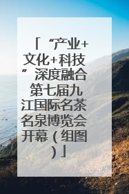 “产业+文化+科技”深度融合 第七届九江国际名茶名泉博览会开幕（组图）