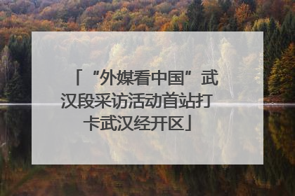 “外媒看中国”武汉段采访活动首站打卡武汉经开区