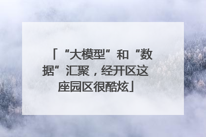 “大模型”和“数据”汇聚，经开区这座园区很酷炫