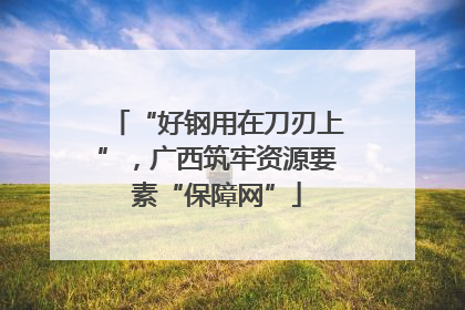 “好钢用在刀刃上”，广西筑牢资源要素“保障网”