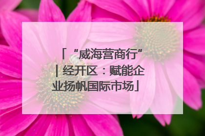 “威海营商行”｜经开区：赋能企业扬帆国际市场