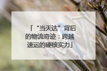 “当天达”背后的物流奇迹：跨越速运的硬核实力