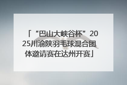 “巴山大峡谷杯”2025川渝陕羽毛球混合团体邀请赛在达州开赛