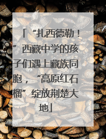 “扎西德勒！”西藏中学的孩子们遇上藏族同胞，“高原红石榴”绽放荆楚大地