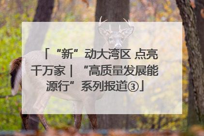 “新”动大湾区 点亮千万家｜“高质量发展能源行”系列报道③