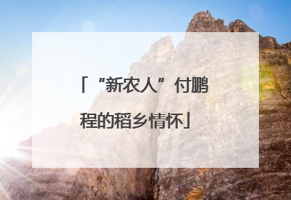 “新农人”付鹏程的稻乡情怀