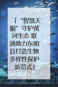 “智慧天眼”守护黄河生态 联通助力东明县打造生物多样性保护新范式
