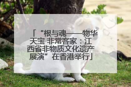 “根与魂——物华天宝 非常客家：江西省非物质文化遗产展演”在香港举行