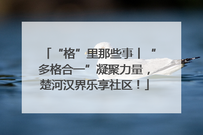 “格”里那些事丨“多格合一”凝聚力量，楚河汉界乐享社区！
