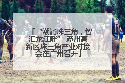 “潮涌珠三角，智汇龙江畔” 漳州高新区珠三角产业对接会在广州召开