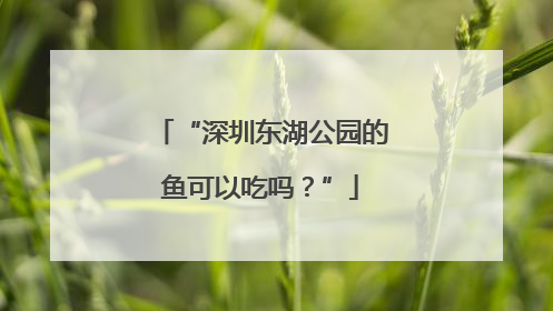“深圳东湖公园的鱼可以吃吗？”