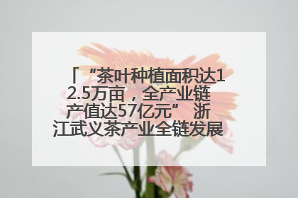 “茶叶种植面积达12.5万亩，全产业链产值达57亿元” 浙江武义茶产业全链发展“加速度”