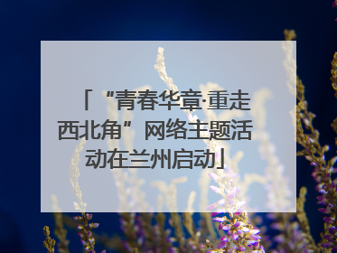 “青春华章·重走西北角”网络主题活动在兰州启动