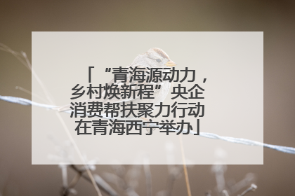“青海源动力，乡村焕新程”央企消费帮扶聚力行动在青海西宁举办