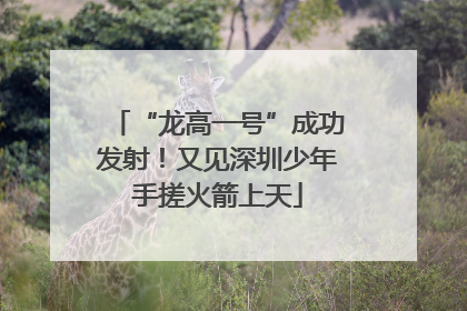 “龙高一号”成功发射！又见深圳少年手搓火箭上天