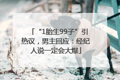 “1胎生99子”引热议，男主回应：经纪人说一定会大爆