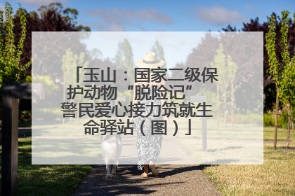 玉山：国家二级保护动物“脱险记” 警民爱心接力筑就生命驿站（图）