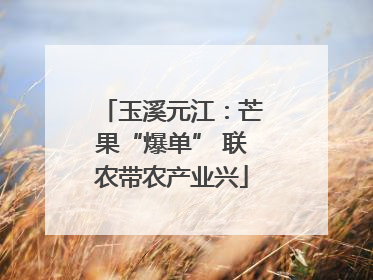 玉溪元江：芒果“爆单” 联农带农产业兴