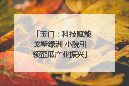 玉门：科技赋能戈壁绿洲 小院引领蜜瓜产业振兴