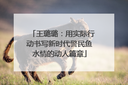 王璐璐：用实际行动书写新时代警民鱼水情的动人篇章