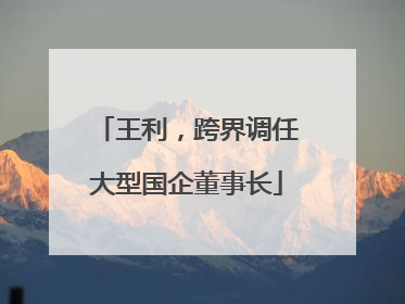 王利，跨界调任大型国企董事长