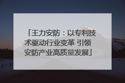 王力安防：以专利技术驱动行业变革 引领安防产业高质量发展