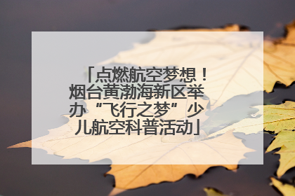 点燃航空梦想！烟台黄渤海新区举办“飞行之梦”少儿航空科普活动