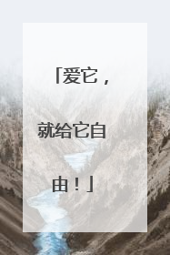 爱它，就给它自由！