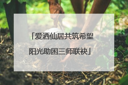 爱洒仙居共筑希望 阳光助困三师联袂