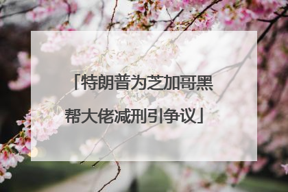 特朗普为芝加哥黑帮大佬减刑引争议