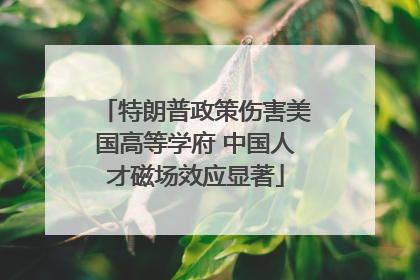 特朗普政策伤害美国高等学府 中国人才磁场效应显著
