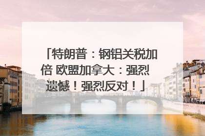 特朗普：钢铝关税加倍 欧盟加拿大：强烈遗憾！强烈反对！